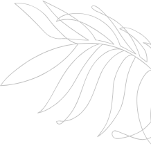 Leaf Light